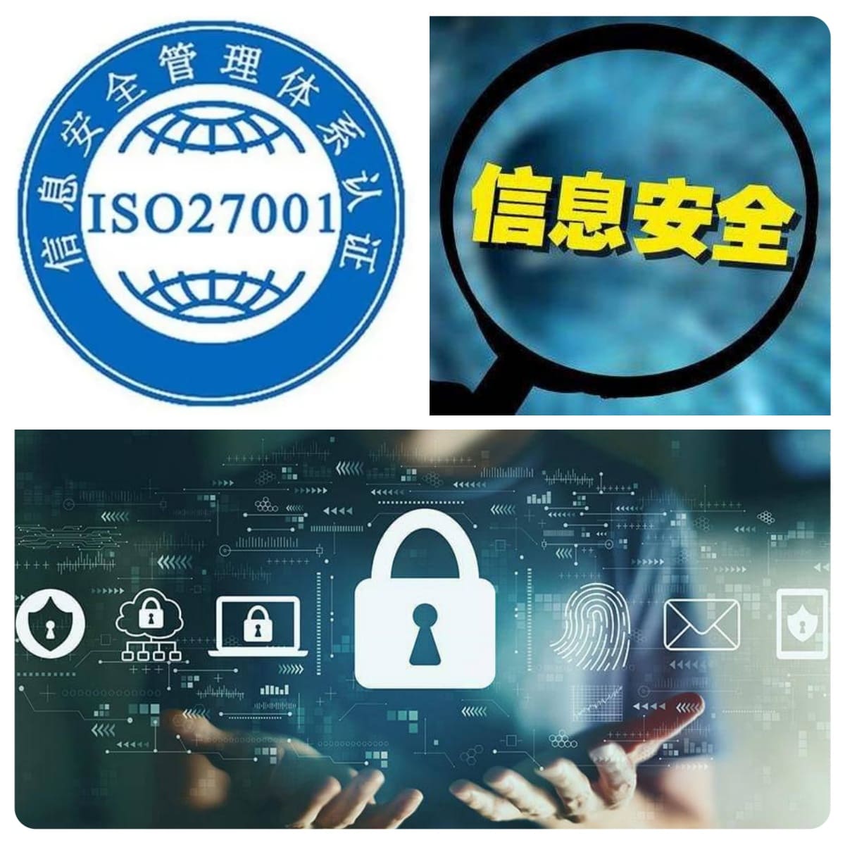 202311241119312795.jpg